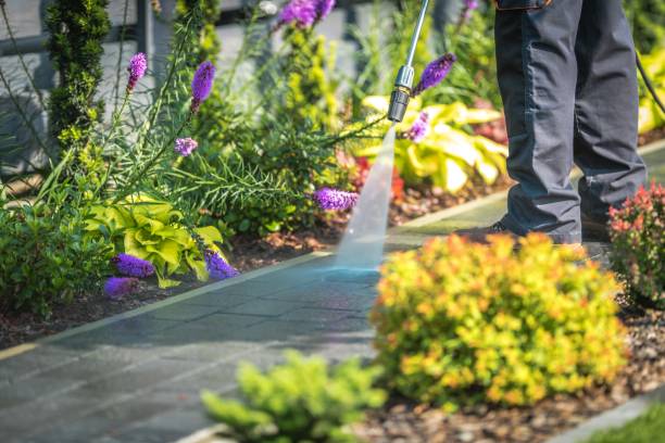 Professional Pressure Washing Services in Golden Beach, MD