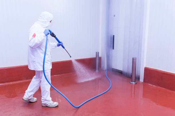Best Building Exterior Pressure Washing in Golden Beach, MD